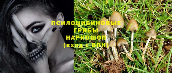 мдпв Армянск
