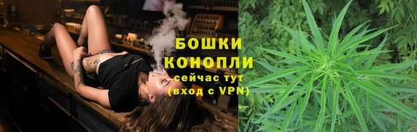 трава Арсеньев